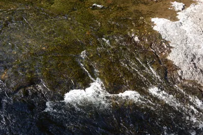 DSC_3523 (Large).JPG